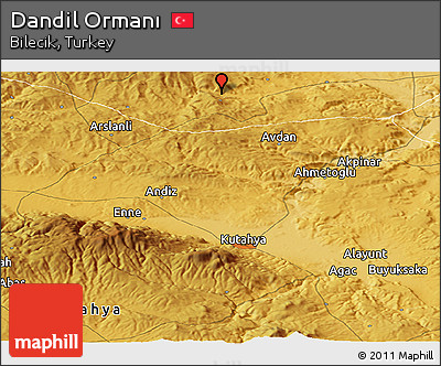 Physical Panoramic Map of Dandil Ormanı