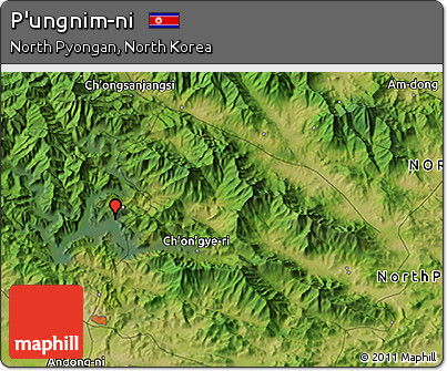 Satellite 3D Map of P'ungnim-ni
