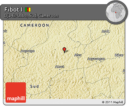 Physical 3D Map of Fibot I