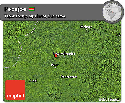 Satellite 3D Map of Pepejoe