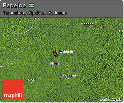 Satellite 3D Map of Pepejoe
