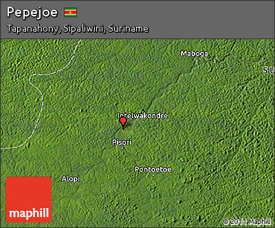 Satellite 3D Map of Pepejoe