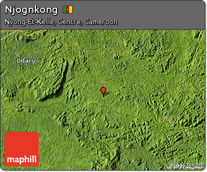 Satellite 3D Map of Njognkong