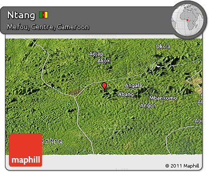 Satellite Panoramic Map of Ntang