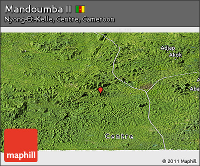 Satellite Panoramic Map of Mandoumba II