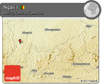 Physical 3D Map of Ngali I