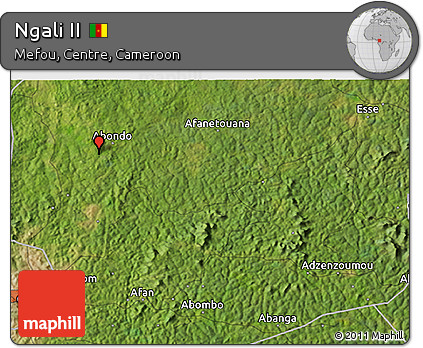 Satellite 3D Map of Ngali II