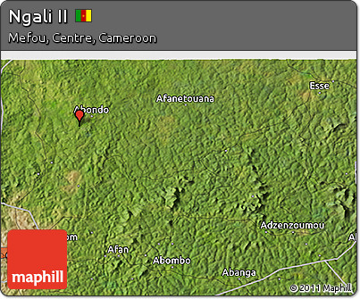 Satellite 3D Map of Ngali II