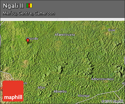 Satellite 3D Map of Ngali II