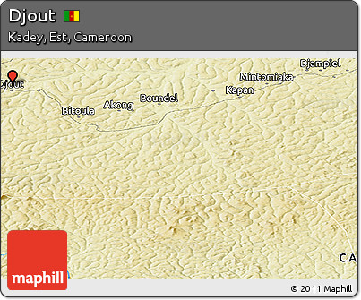 Physical Panoramic Map of Djout