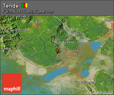 Satellite 3D Map of Tendé