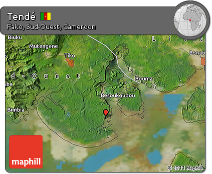 Satellite Map of Tendé