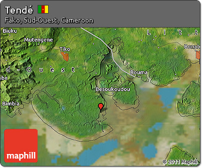 Satellite Map of Tendé