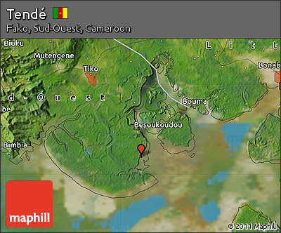 Satellite Map of Tendé