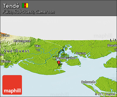 Physical Panoramic Map of Tendé