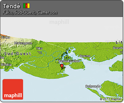 Physical Panoramic Map of Tendé