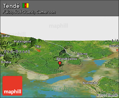 Satellite Panoramic Map of Tendé