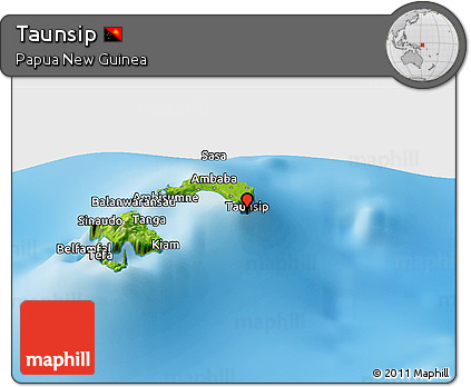 Physical Panoramic Map of Taunsip
