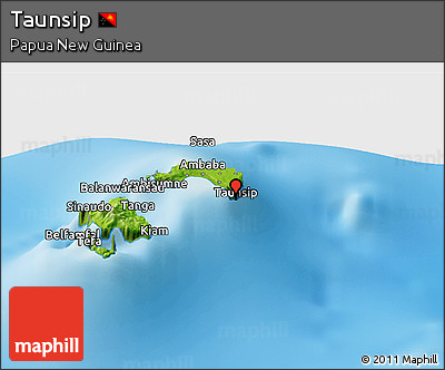 Physical Panoramic Map of Taunsip