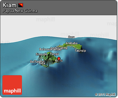 Satellite Panoramic Map of Kiam