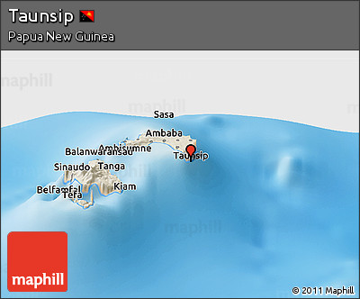 Shaded Relief Panoramic Map of Taunsip