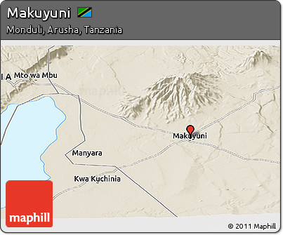 Shaded Relief Panoramic Map of Makuyuni