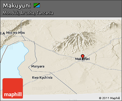Shaded Relief Panoramic Map of Makuyuni