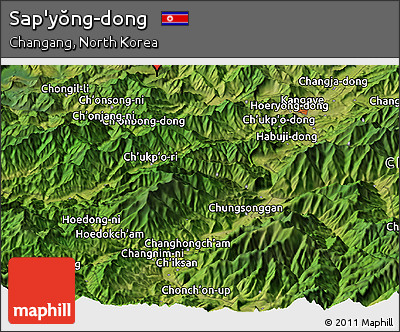 Satellite Panoramic Map of Sap'yŏng-dong