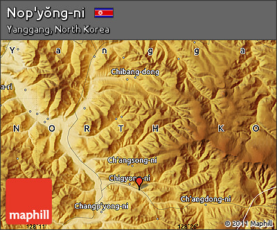 Physical Map of Nop'yŏng-ni