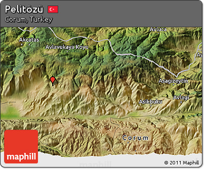 Satellite 3D Map of Pelitözü