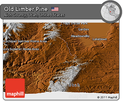 Physical Panoramic Map of Old Limber Pine