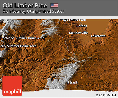 Physical Panoramic Map of Old Limber Pine