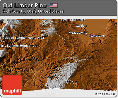 Physical Panoramic Map of Old Limber Pine