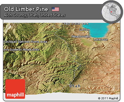 Satellite Panoramic Map of Old Limber Pine