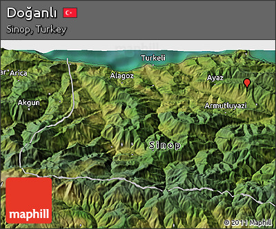 Satellite 3D Map of Doğanlı