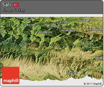 Satellite Panoramic Map of Salı