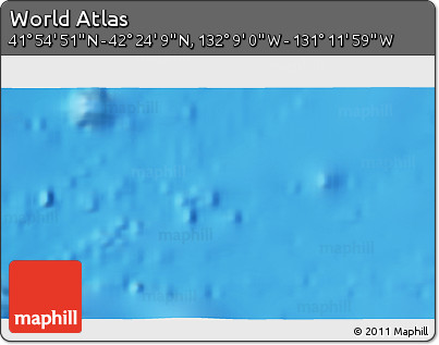 Physical 3D Map of the Area around 42° 9' 30" N, 131° 40' 30" W