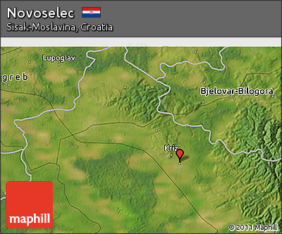 Satellite 3D Map of Novoselec