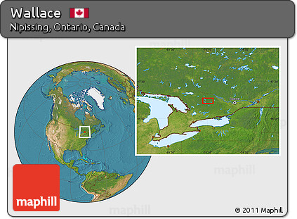 Satellite Location Map of Wallace