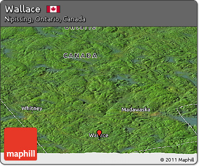 Satellite Panoramic Map of Wallace