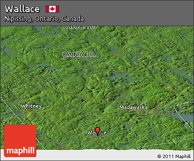 Satellite Panoramic Map of Wallace