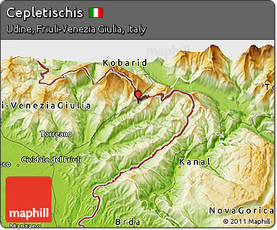 Physical 3D Map of Cepletischis
