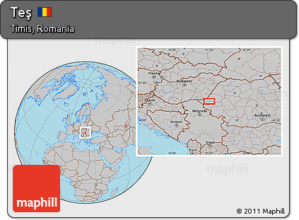Gray Location Map of Teş