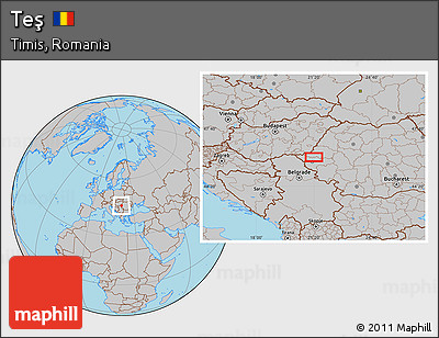 Gray Location Map of Teş