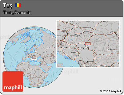 Gray Location Map of Teş