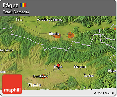 Satellite 3D Map of Făget