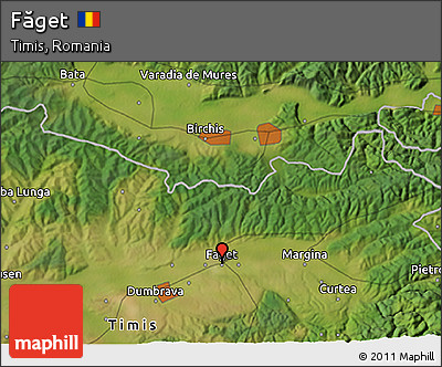 Satellite 3D Map of Făget