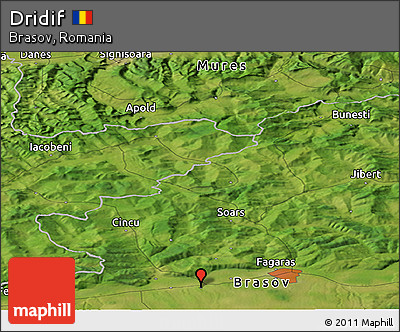 Satellite Panoramic Map of Dridif
