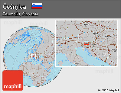 Gray Location Map of Češnjica