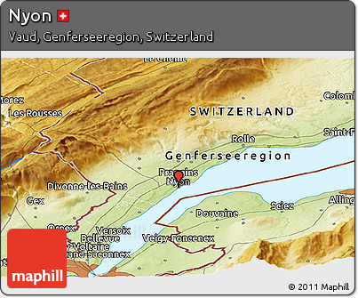 Physical Panoramic Map of Nyon